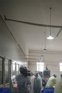 祝賀宜昌華爾食品公司榮獲市食品示范企業稱號，引領餅干行業新發展