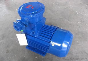 隔爆型三相異步電動(dòng)機(jī)價(jià)格、廠家與圖片詳解 機(jī)械用電動(dòng)機(jī)選購指南